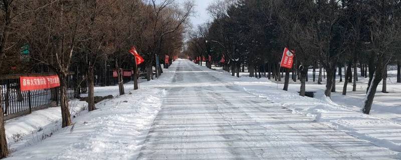 下雨雪会不会化 冬天下雨会变成雪吗