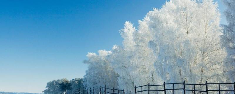 怎么形容下雪天的美景（形容下雪了美景的句子）