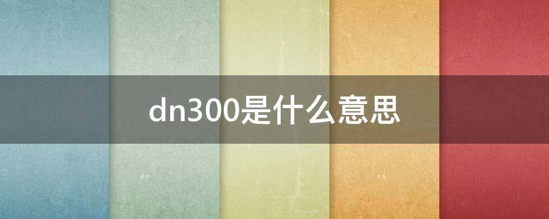 dn300是什么意思（图纸dn300是什么意思）