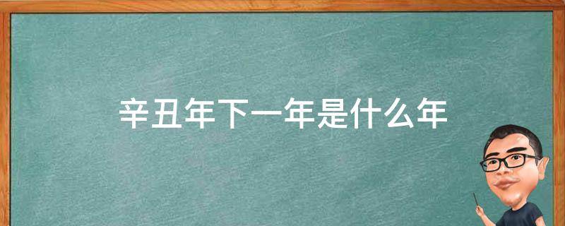 辛丑年下一年是什么年（辛丑年的下一年是）