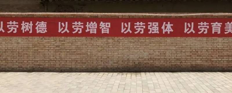 劳育指什么（劳动指什么意思）