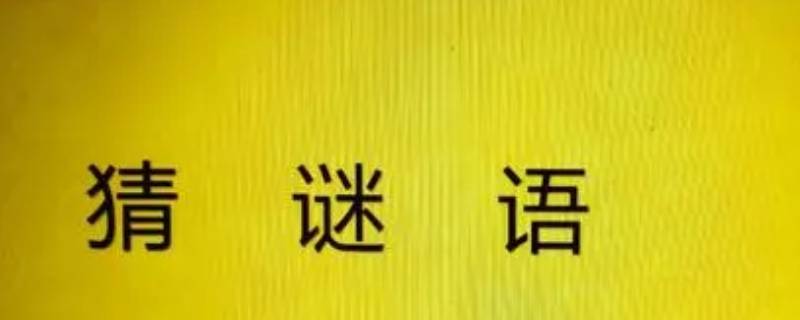 长生不老打一城市名 长生不老猜一城市名