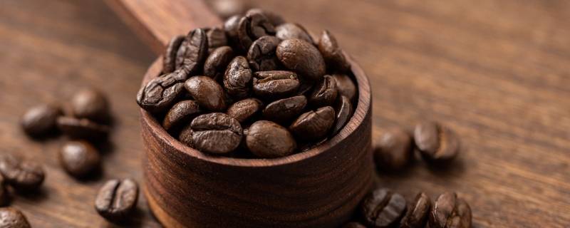 咖啡豆算是豆吗 咖啡豆算什么类别