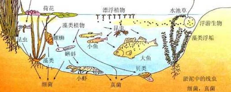 八大生态系统 生物八大生态系统