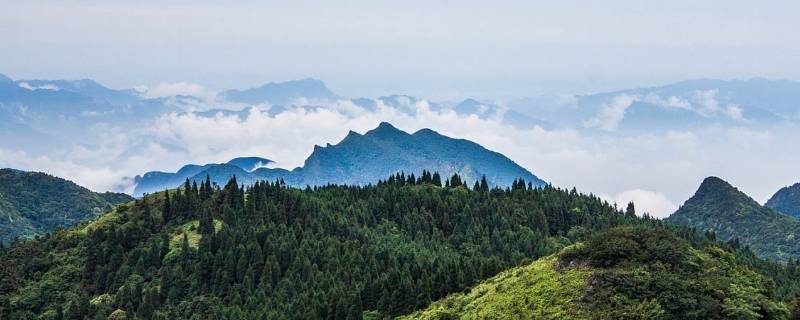 武陵山海拔高度多少米 武陵山海拔有多高