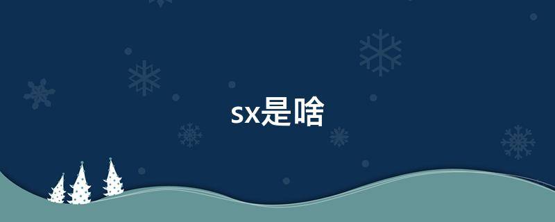 sx是啥 高級(jí)physx是啥