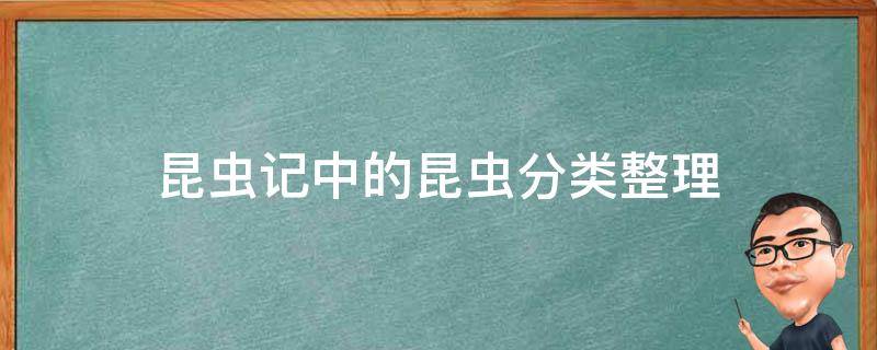 昆虫记中的昆虫分类整理 《昆虫记》昆虫分类