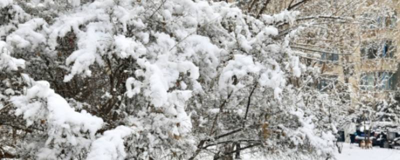 雪是什么狀態(tài) 雪是什么狀態(tài)的水