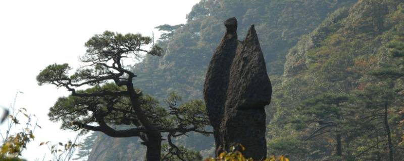 黄山有哪些石头（黄山有哪些石头图片）