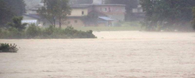 遇到暴雨如何自救（遇到暴雨如何自救PPT）