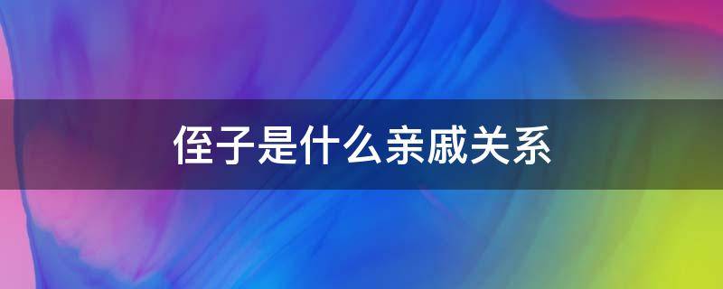 侄子是什么亲戚关系（侄子是什么亲戚关系组成的）