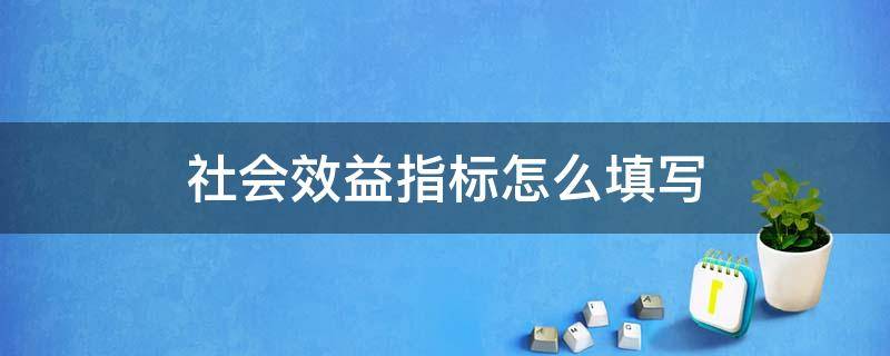 社会效益指标怎么填写 社会效益目标怎么填写