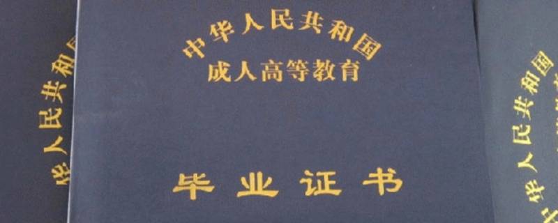 教育程度怎么填写（大学教育程度怎么填写）