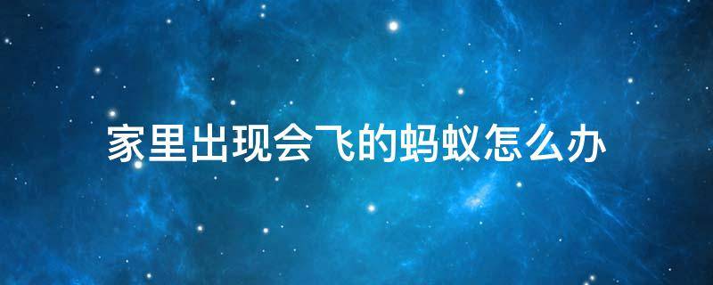 家里出现会飞的蚂蚁怎么办（家里突然出现会飞的蚂蚁什么情况）