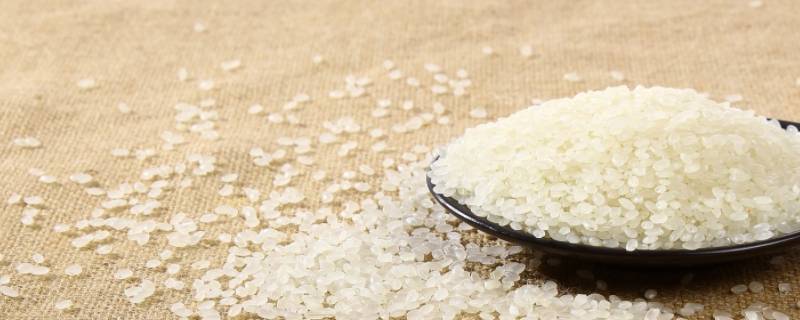 大米的成分 大米的成分含量表