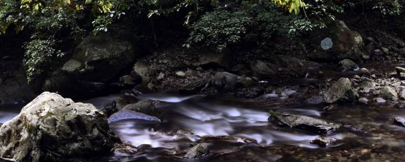 延平区景点（延平区景点介绍）