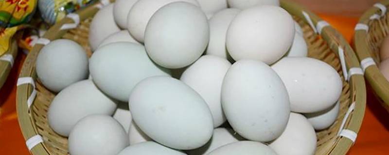 鸭蛋能放多久 煮熟的鸭蛋能放多久