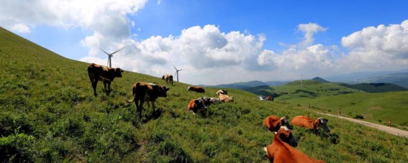 沁源縣景點（山西沁源縣有什么景點）