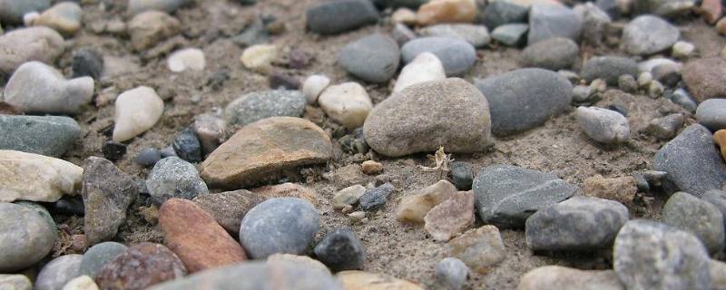 海边透明的石头是玉吗 海边小石头有玉石吗?