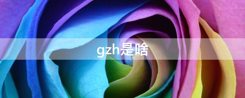 gzh是啥（gzh是啥软件）