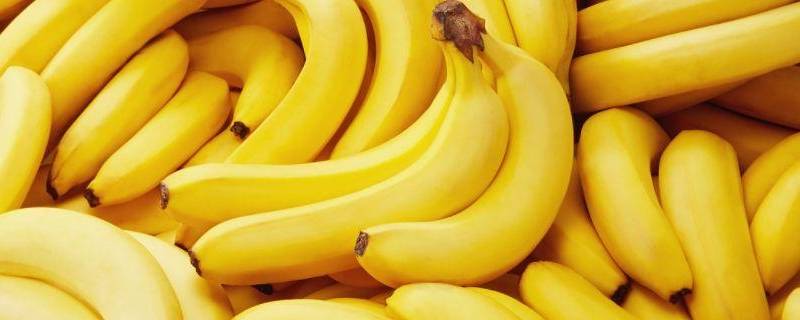 进口香蕉和国产香蕉区别（进口香蕉好还是国产香蕉好）