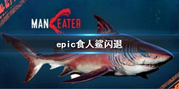 epic食人鯊閃退怎么辦