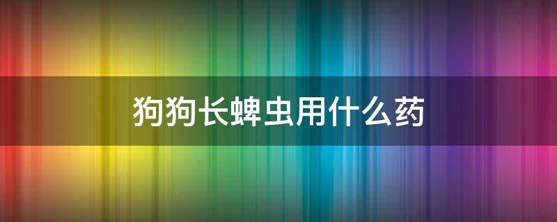 狗狗長蜱蟲用什么藥（狗身上長蜱蟲吃什么藥）