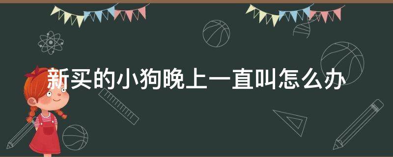 新买的小狗晚上一直叫怎么办 刚买回家的小狗晚上一直叫怎么办