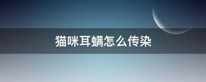 貓咪耳螨怎么傳染 貓咪耳螨怎么傳染給人