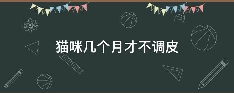 猫咪几个月才不调皮 猫咪几个月就不调皮了