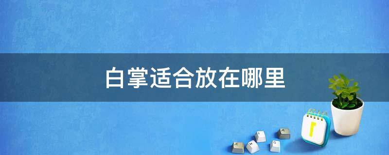 白掌適合放在哪里 白掌放哪里最好