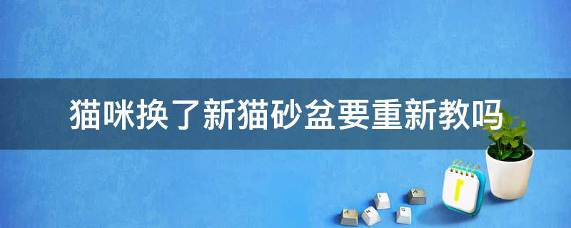 貓咪換了新貓砂盆要重新教嗎（貓砂盆需要換新的嗎?）