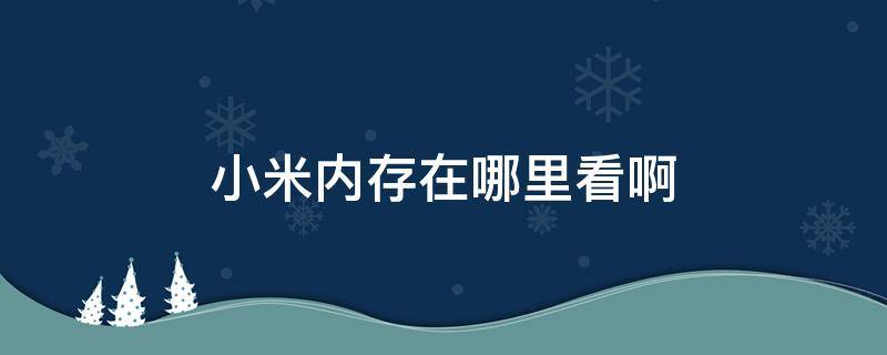 小米内存在哪里看啊 小米手机在哪能看到内存