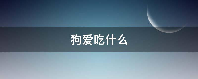 狗爱吃什么（泰迪狗爱吃什么）