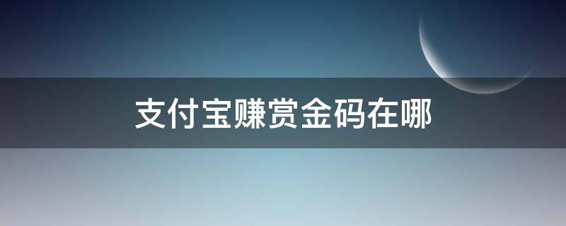 支付宝赚赏金码在哪 支付宝赚赏金码在哪首页没有