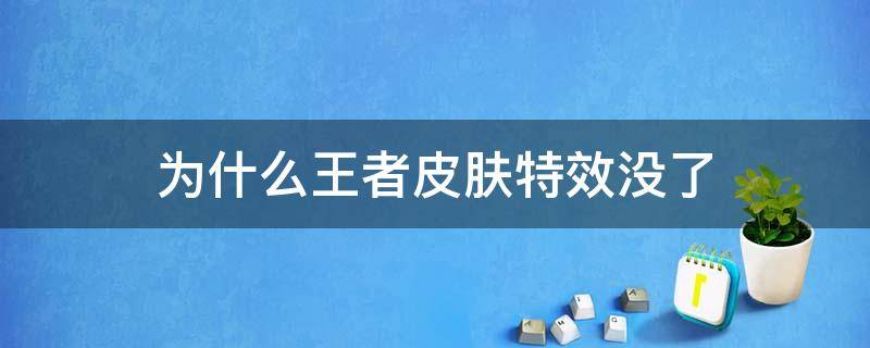 为什么王者皮肤特效没了（王者皮肤特效不全怎么办）