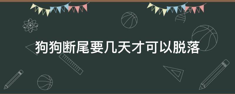 狗狗断尾要几天才可以脱落 小狗断尾巴几天才能掉