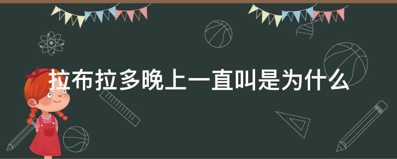 拉布拉多晚上一直叫是为什么（拉布拉多半夜老是叫喊）