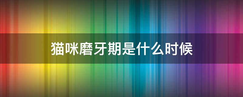 猫咪磨牙期是什么时候 小猫磨牙期多长时间