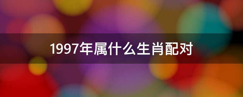 1997年屬什么生肖配對（1997年屬什么生肖配對女配1993年豬）