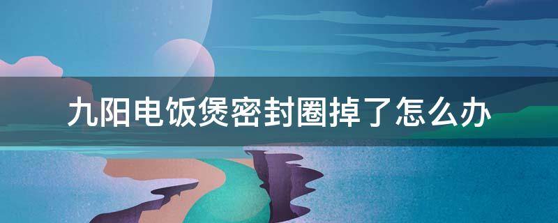 九阳电饭煲密封圈掉了怎么办（电饭煲不可拆卸的密封圈坏了怎么办）