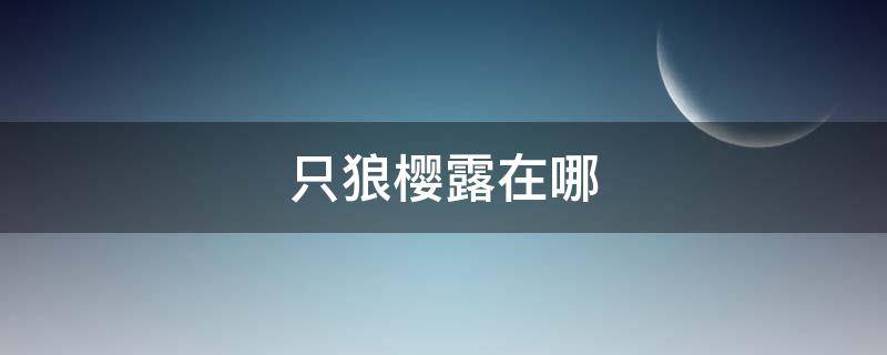 只狼樱露在哪（只狼樱露在哪里）