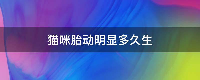 猫咪胎动明显多久生（猫咪胎动很明显多久生）