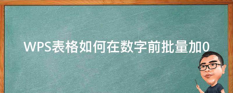 WPS表格如何在数字前批量加0 wps表格批量在一列数字前加0