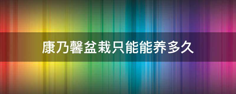 康乃馨盆栽只能能养多久 康乃馨植株可以养几年