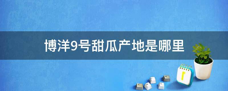 博洋9号甜瓜产地是哪里 博洋9号甜瓜图片介介绍