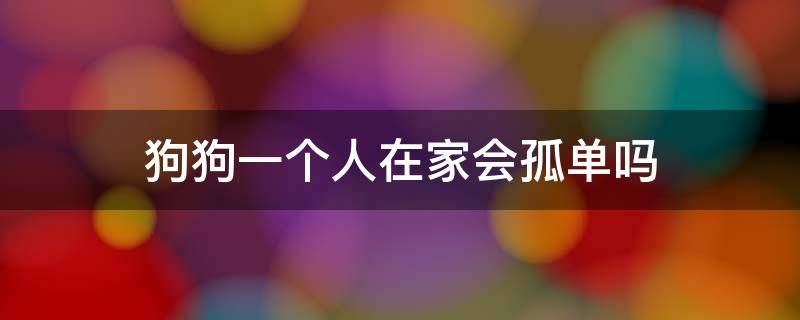 狗狗一个人在家会孤单吗 狗狗一个人在家会孤单吗?那应该怎么办