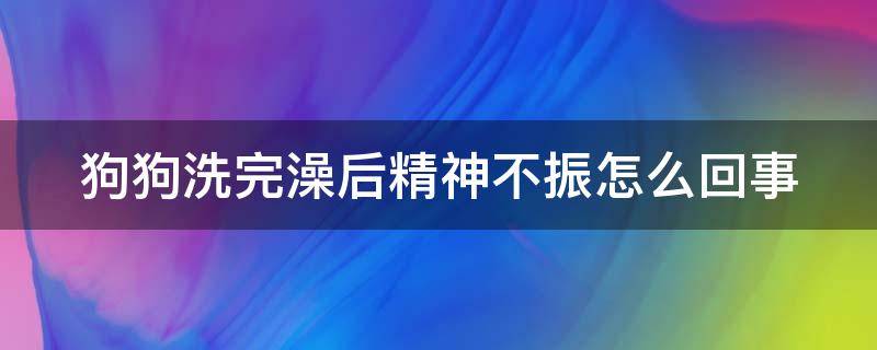 狗狗洗完澡后精神不振怎么回事 狗狗洗完澡后精神不振怎么回事呀