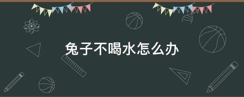 兔子不喝水怎么办（家养兔子不喝水怎么办）