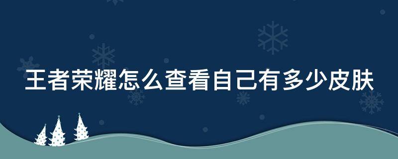 王者荣耀怎么查看自己有多少皮肤（王者荣耀怎么查看自己有多少皮肤碎片）